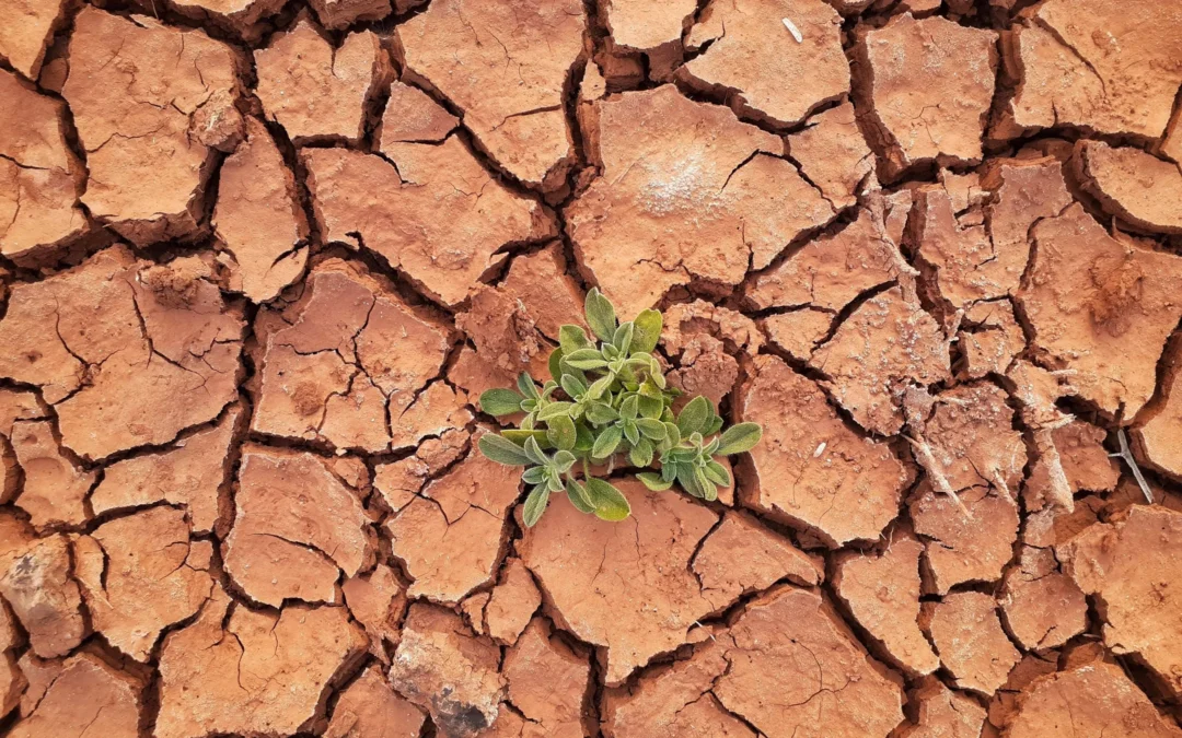 How the UN Climate Change Conference (COP26) affects your small business