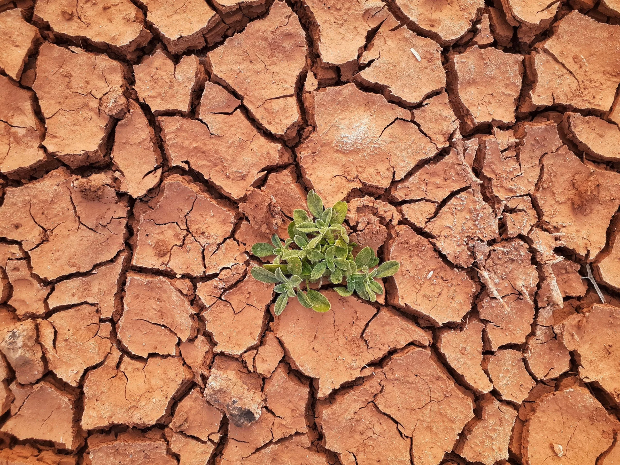 How Cop26 Affects Uk Small Businesses