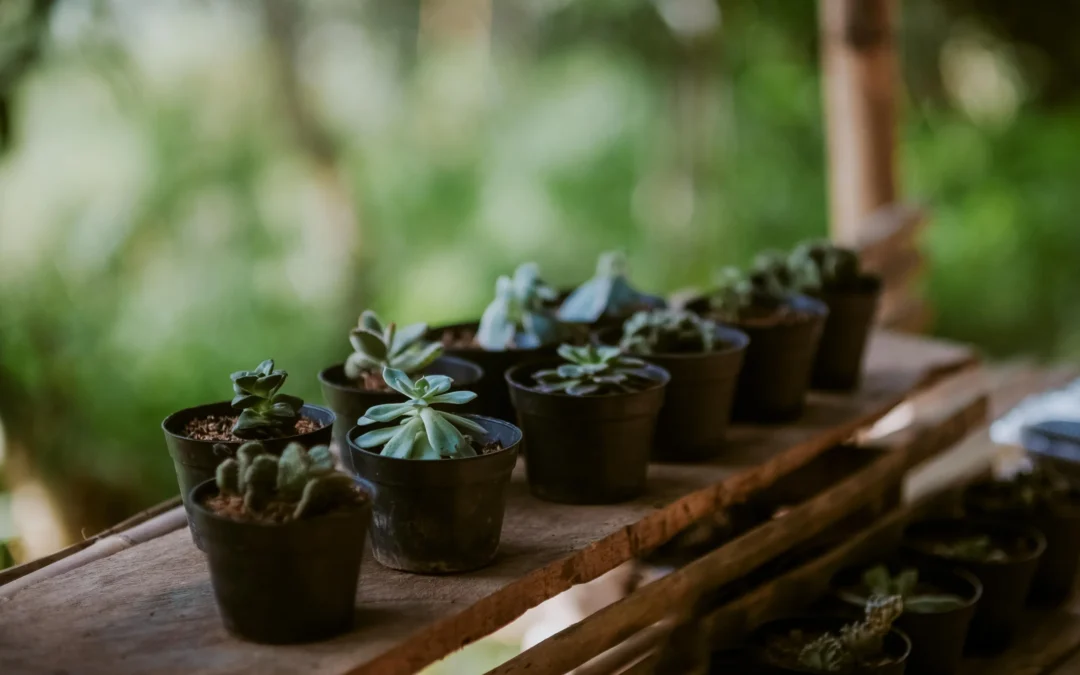 5 Easy to Implement Ethical Practices for your Small Business