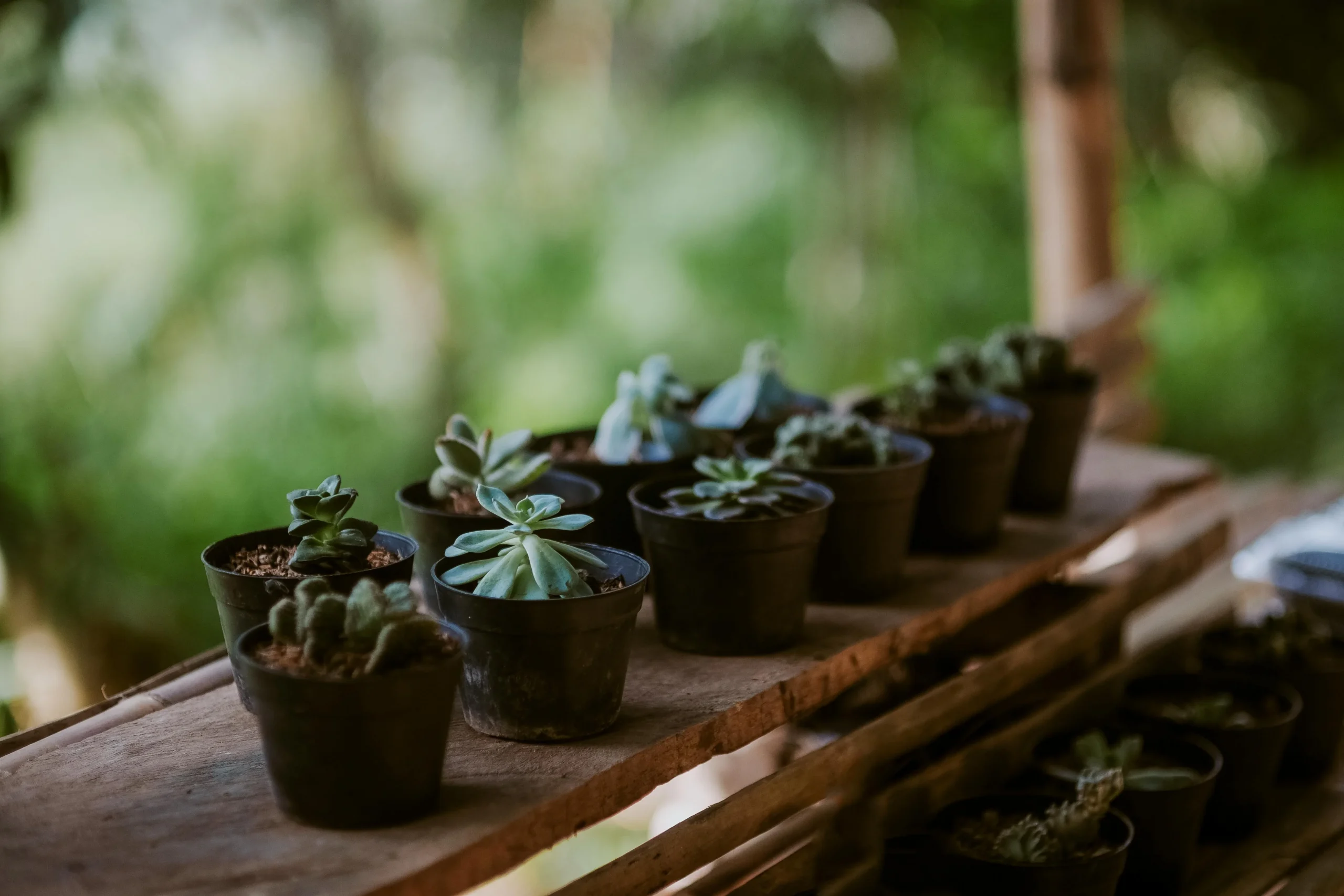 Easy To Implement Ethical Practices For Small Business