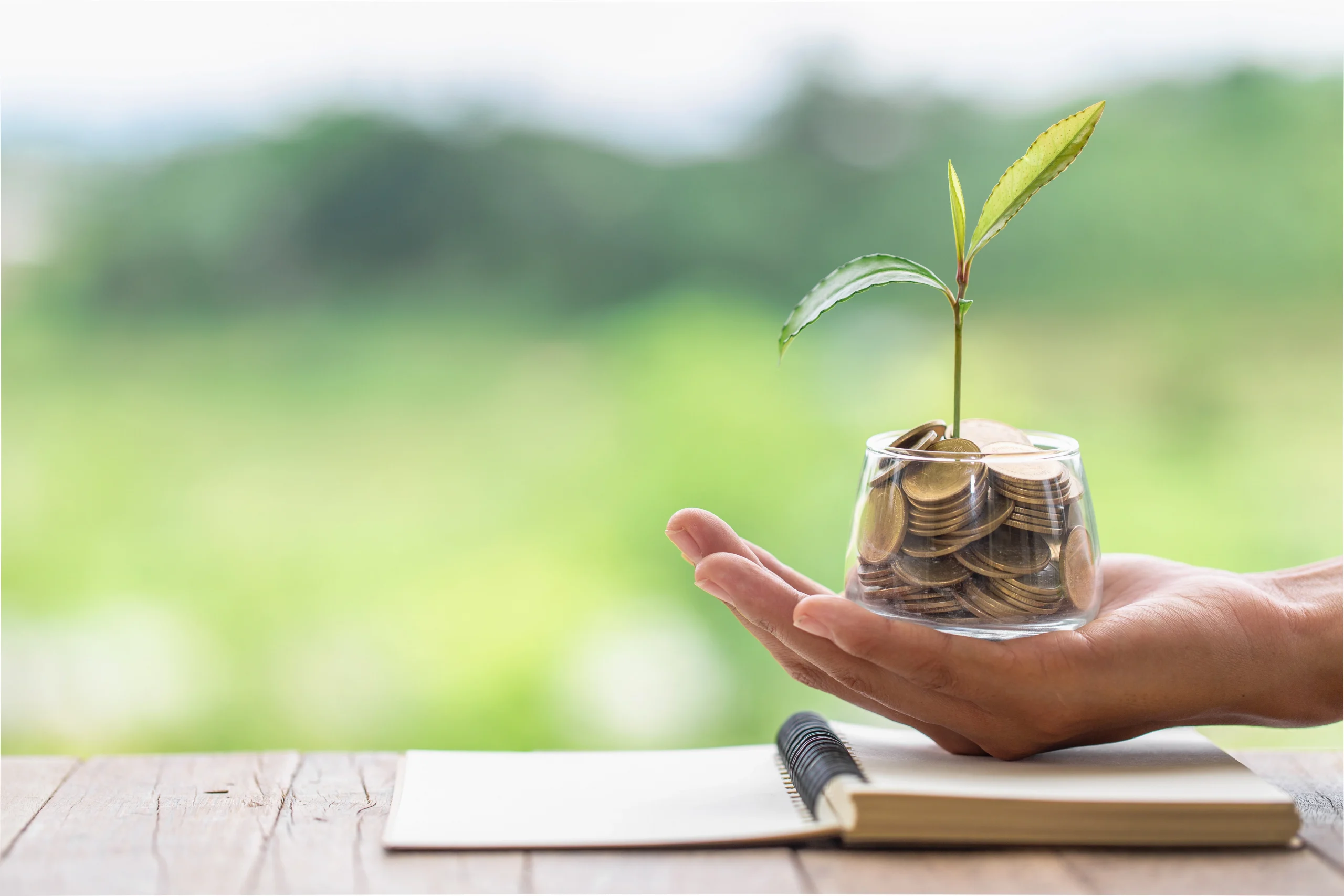 Ethical Investment For Young Entrepreneurs Ethical Investment For Young Entrepreneurs
