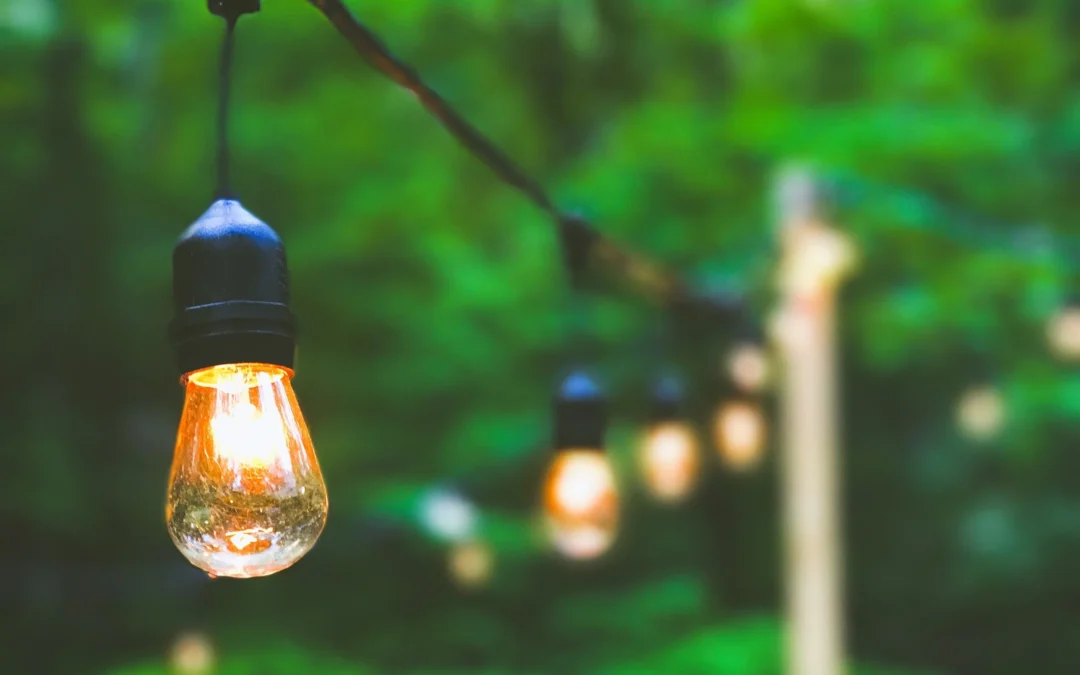 Growing a Sustainable Business – 7 Lessons I have learnt in my first year running an eco-friendly Virtual Assistant Service