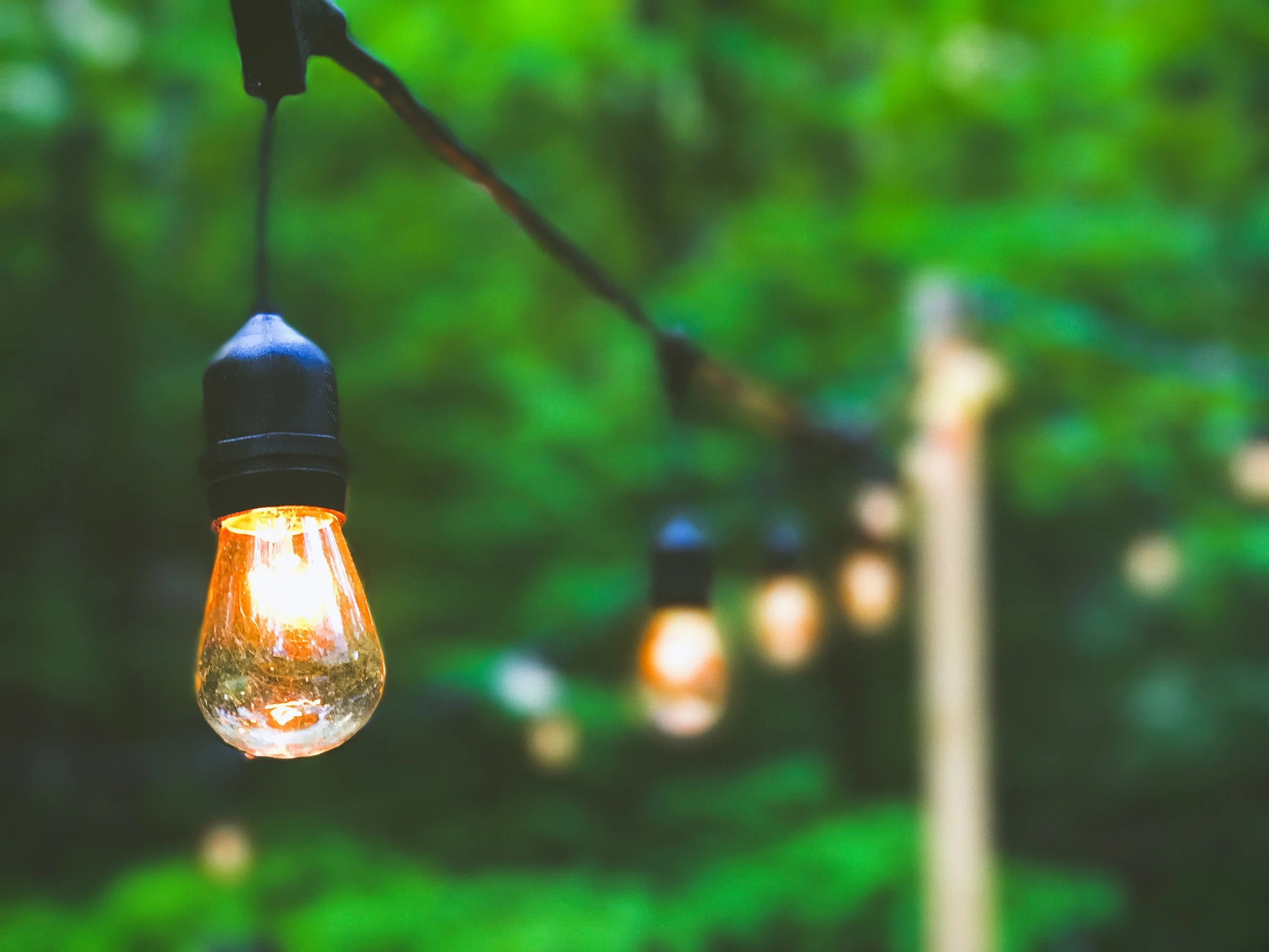 Growing a Sustainable Business – 7 Lessons I have learnt in my first year running an eco-friendly Virtual Assistant Service