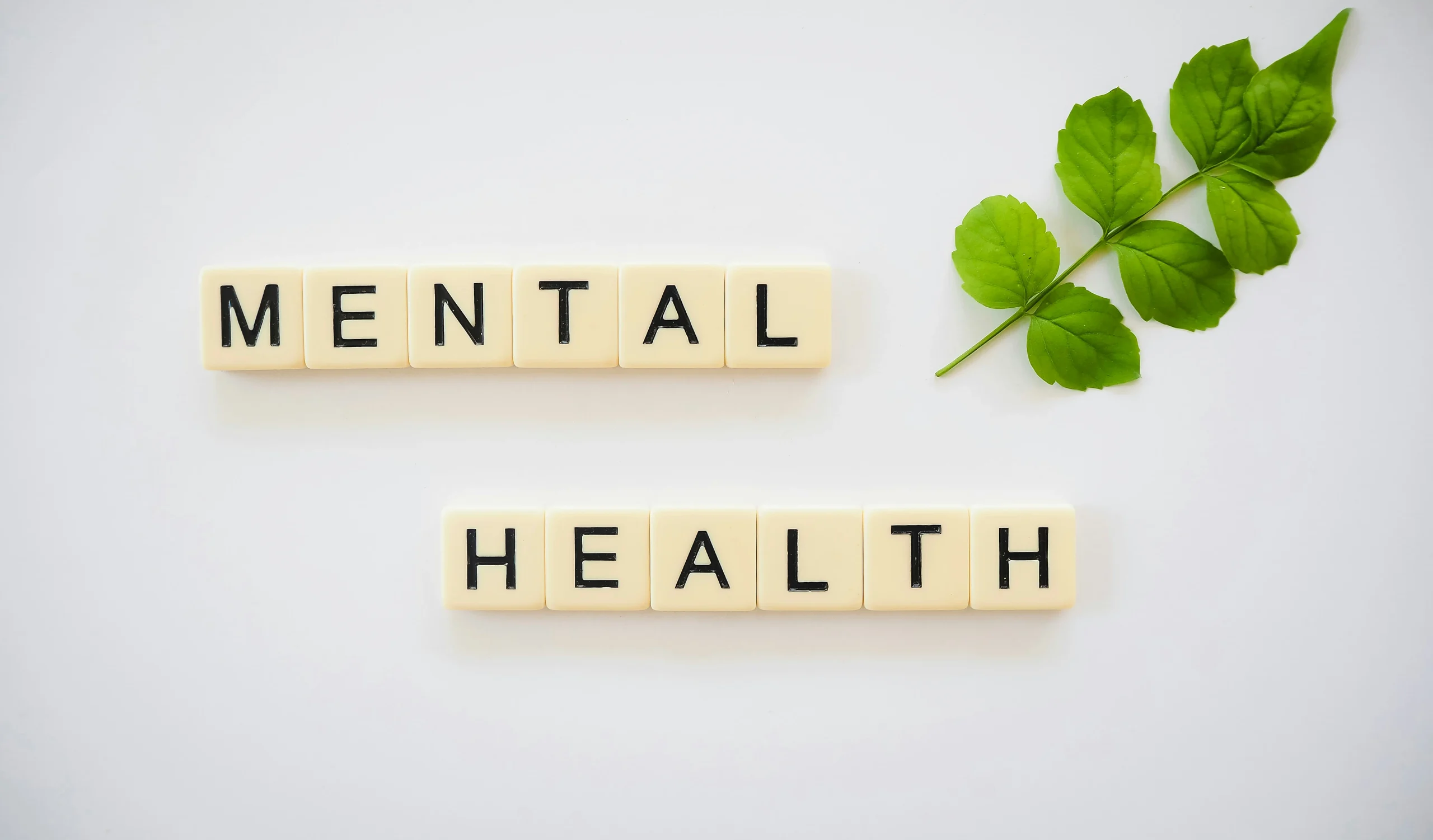 Looking After Your Mental Health As A Busy Business Owner
