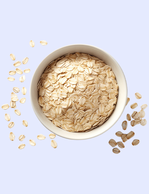 Nutritionist Assets 12