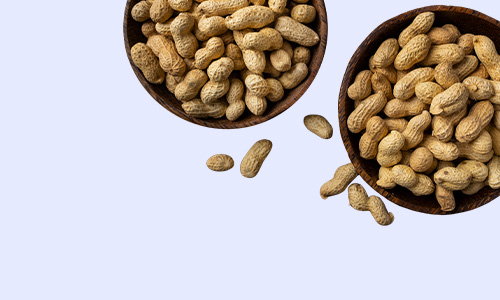 Nutritionist Img G3