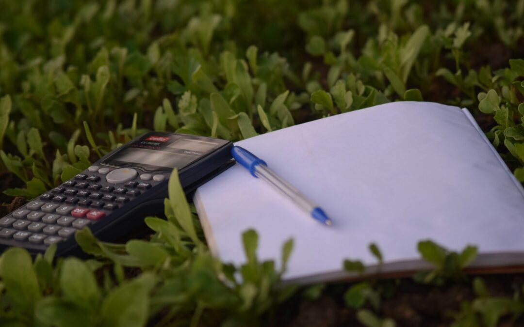 The Significance of Earth Overshoot Day for Sustainable Businesses