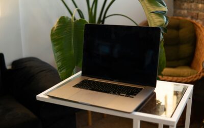 Environmental Stewardship in Your Home Office: Practical Guide