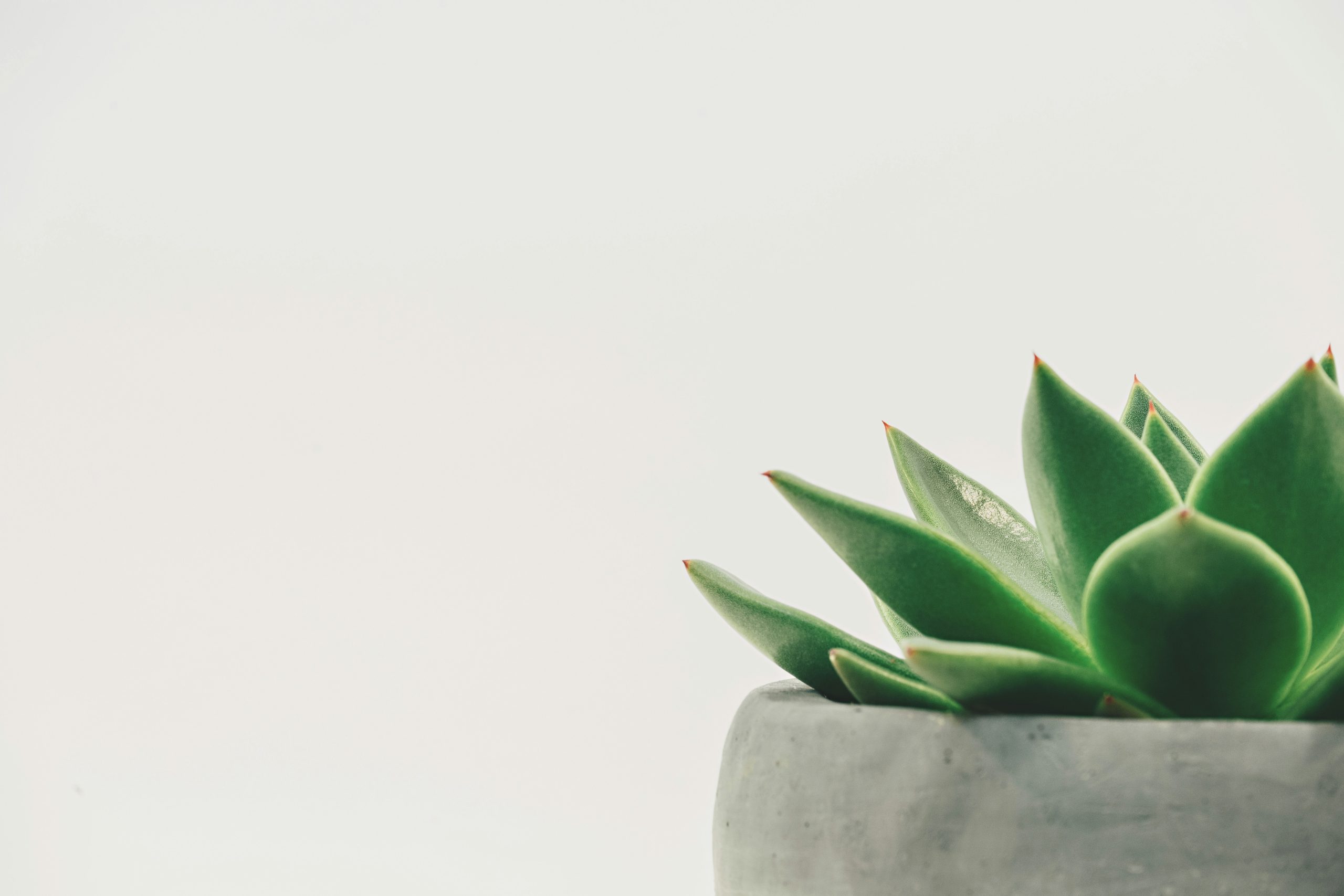 Scott Webb Hdyo6rr3kqk Unsplash